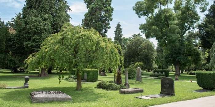 Visite du Cimetière des Rois - Genève