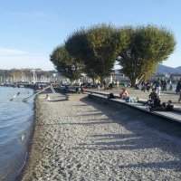 Baignade dans le lac