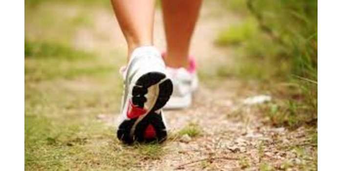 Marche sportive (rive droite) autour de Nyon