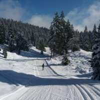 Ski de fond dans le Jura