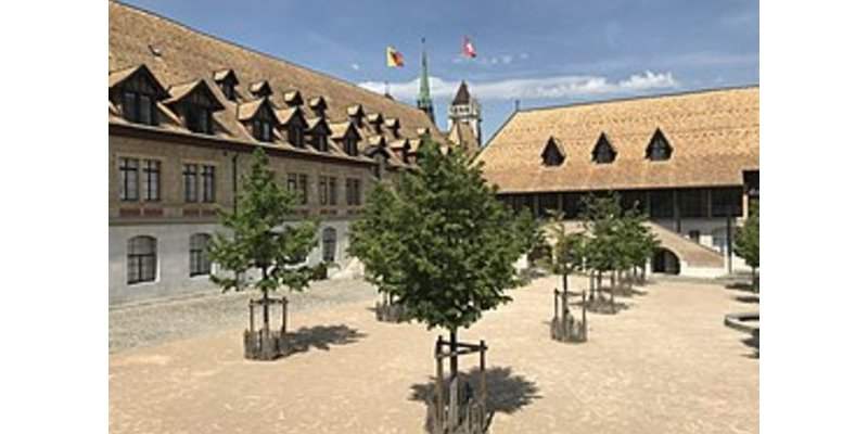 Scolarité