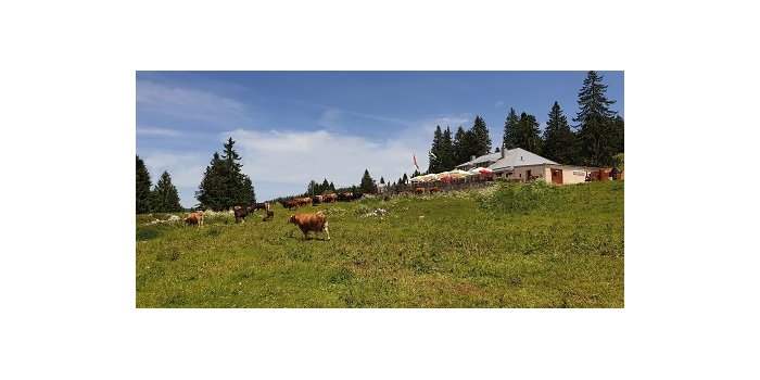 Vaud Divonne