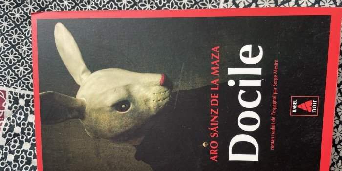 Cercle de lecture-polar de Laurence