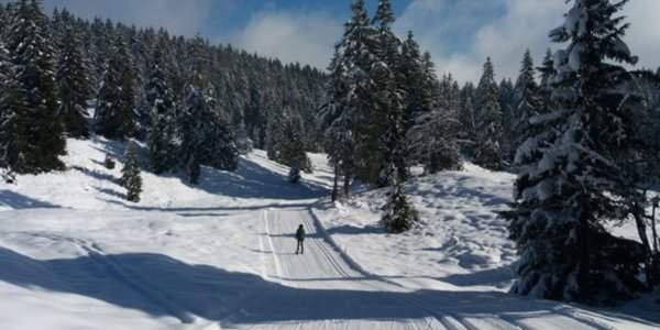 Ski de fond dans le Jura